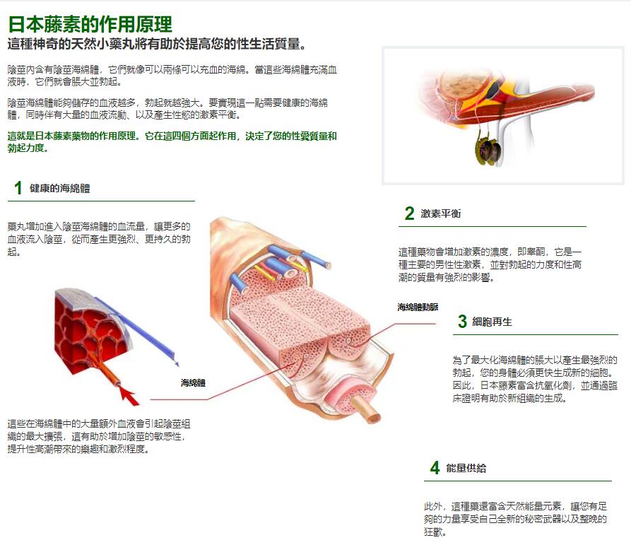 陽痿吃日本藤素有用嗎？詳細探討日本藤素如何改善和治療陽痿症狀